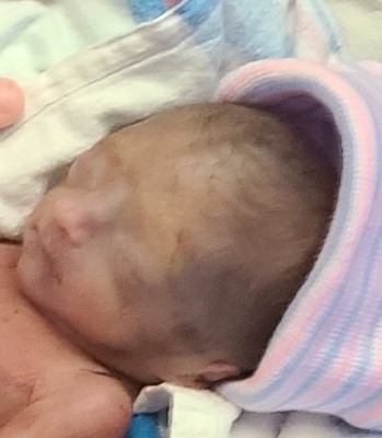 oaklynn wagner